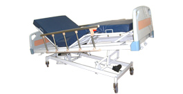 Motorized Height Adjustable Bed with Mattress